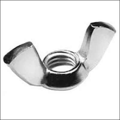 Quelle définition correspond à l'insecte évoqué ci-contre ?