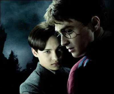 De quelle famille Tom Jedusor et Harry Potter sont-ils tous les deux des descendants ?
