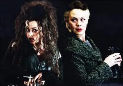 Qui est la soeur de Narcissa et Bellatrix ?