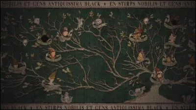 Quelle est la coutume pour nommer ses enfants dans la famille Black ?