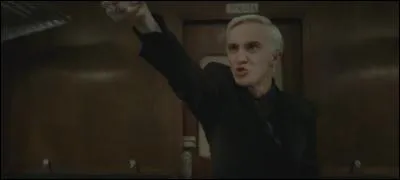 Qui est la cousine aînée de Drago Malefoy ?