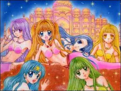 Combien de saisons y a-t-il ?