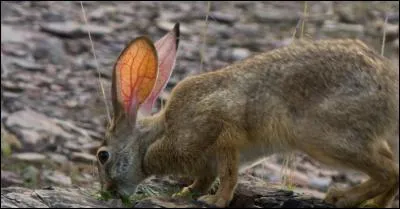 Il arrive qu'il ne vous revienne pas !