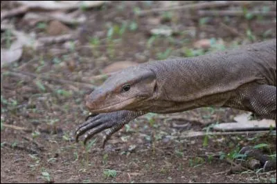 Elles vous aideront pour la réponse !