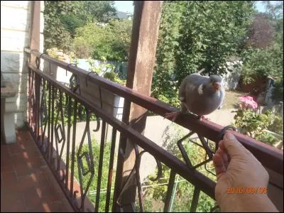 Grande propriété agricole brésilenne !