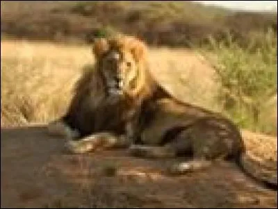 On tourne autour du pot, et comme dirait l'autre on fait des circonlocutions !