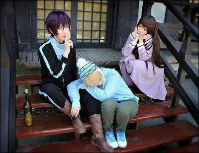 Où dorment-ils le plus souvent le soir ?