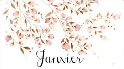 Comment se dit le mot janvier ?