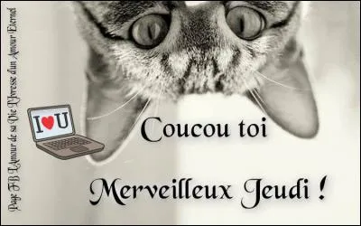 Et comment se dit le mot jeudi ?