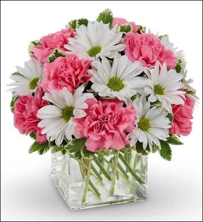 &Agrave; Pueblo, quelle sorte de fleurs n'a-t-on pas le droit de laisser pousser dans les fronti&egrave;res de la ville ?