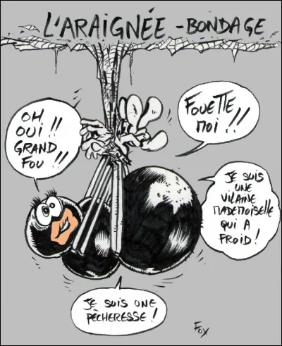 Deux sens nous sont indispensables, que l'araignée n'a pas, mais dont elle se passe très bien !