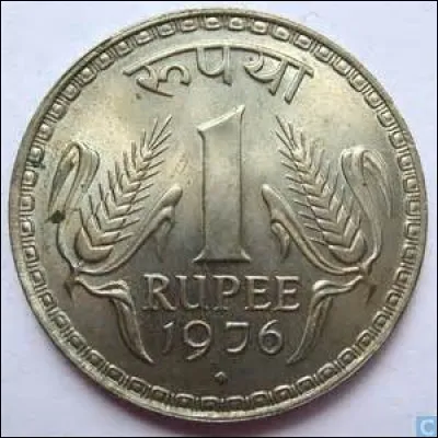 Quel pays n'utilise pas la roupie ?