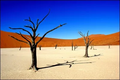 Dans quel désert est situé cet endroit ?