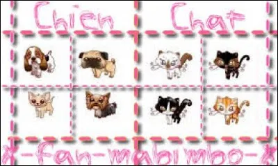 Combien faut-il de BO pour acheter un chat ?