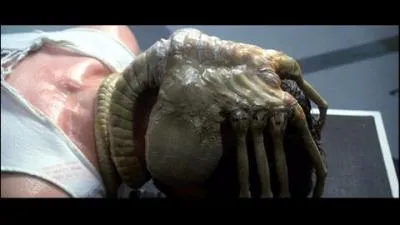 Cette photo est incomprhensible si on n'a pas vu ...