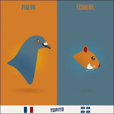 Les pigeons ou écureuils. Choisis