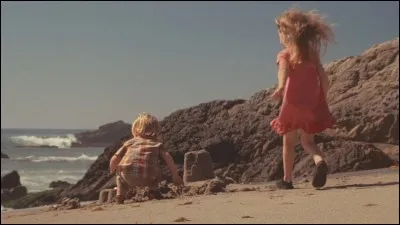 Quel est le prénom du fils de Cobb ?