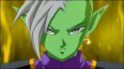 Quelle vision de Zamasu est magnifique, selon Gowasu ?