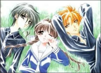 Dans le manga "Fruit Basket", le signe chinois de Tohru est le chien. Mais de quel autre signe aurait-elle voulu être ?