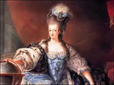 Quel était le surnom le plus donné à Marie-Antoinette lors de son procès ?