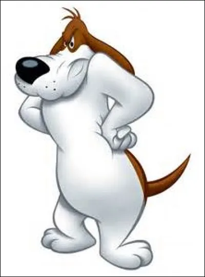 Qui est ce Looney Tunes ?