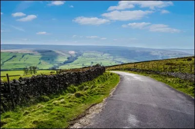 Comment reconnaît-on le groupe NCS ? (plusieurs réponses sont attendues).