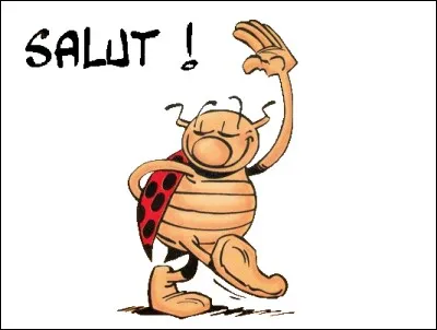 Qui est le « papa » de cette coccinelle ?