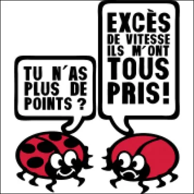 Le nombre de points de la coccinelle dépend :