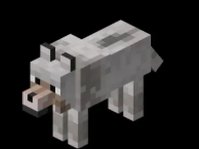 Et enfin, de quelle couleur de base est le collier du chien ?