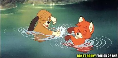 Dans rox et roukyqui est le renard ?