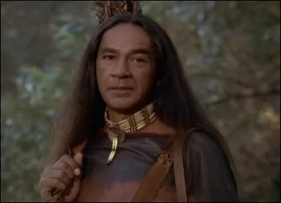 Qui est ce personnage, issu de la série "Docteur Quinn, femme médecin" ?