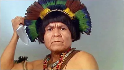 Dans quel film avec Patrick Bruel et Jean Reno rencontre-t-on cet Indien ?