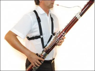 Quel est le nom de cet instrument de musique ?