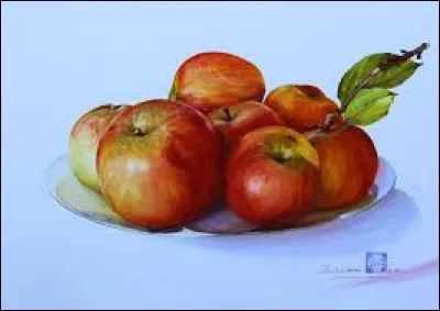 Fin tissu aéré et transparent :