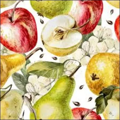 Sable caillouteux du fond des rivières :