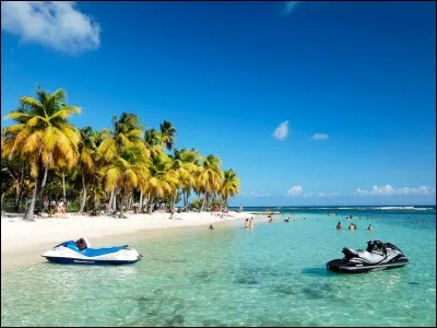 Lequel ces insectes donne son nom à cours d'eau situé en Guadeloupe ?
