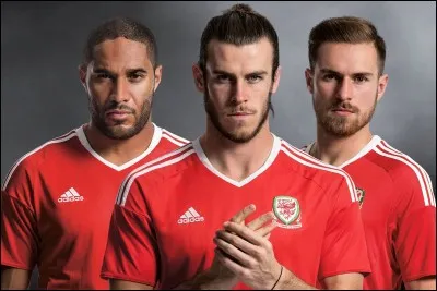 Quel pays a perdu en quart de finale de l'Euro face au Pays de Galles ?