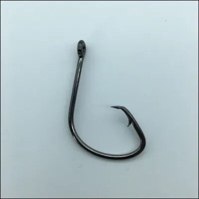 Quelle est cette image ?