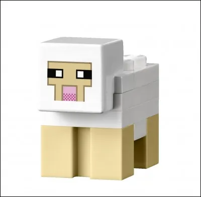 Combien de laines la cisaille nous donne, au minimum, quand on rase un mouton ?