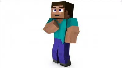 Comment surnomme-t-on Steve ?