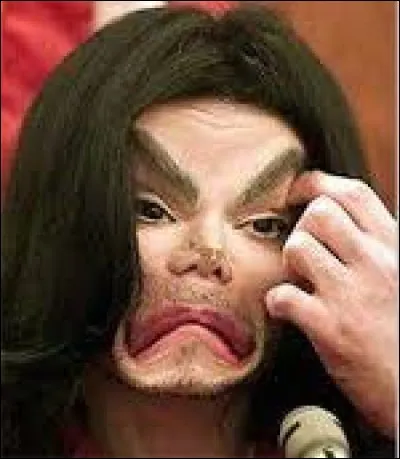 Combien y a-t-il de fautes : je croit que Mikeal Jackson n'et pas content !