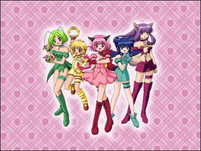 Les animaux des Mew Mew sont...
