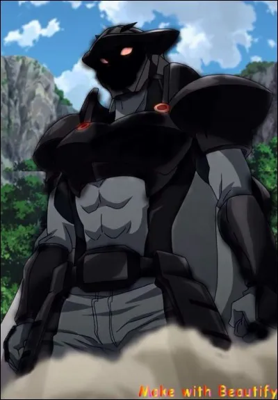 Qu'est-ce que c'est ?