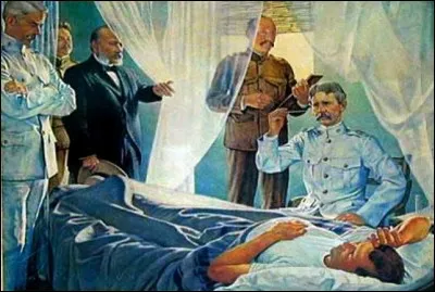 Sur quelle maladie Stubbins Ffirth travaillait-il ?