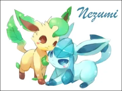 Comment faire évoluer Evoli en ces deux-là ?