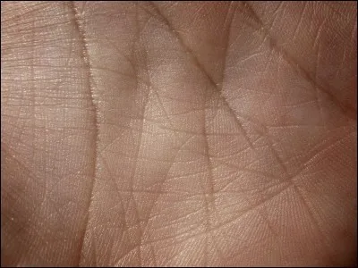 Laquelle de ces propositions concerne l'élément le plus lourd ?