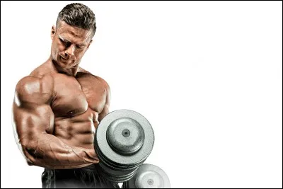 Lorsque votre corps est debout, combien de vos muscles sont en action ?