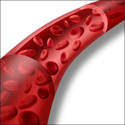 Sur combien de kilomètres les 300 000 millions de capillaires sanguins s'étendraient-ils, mis à bout ?