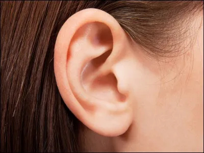 Quand vos oreilles sécrètent-elles le maximum de cire ?