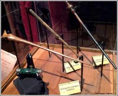 Avec quelle baguette la première baguette d'Harry Potter avait-elle des similarités ?